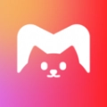 美多多壁纸官方最新版