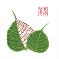 华膜商城手机正版