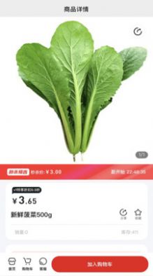 随团免费原版图2