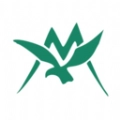 凯蒙药城正版
