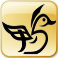 鸭子网官方正版
