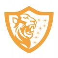 星狮盾安卓直装版