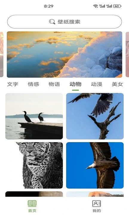 白叶壁纸最新免费版图2