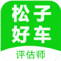 松子评估免费原版