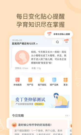 月子说安卓直装版图1
