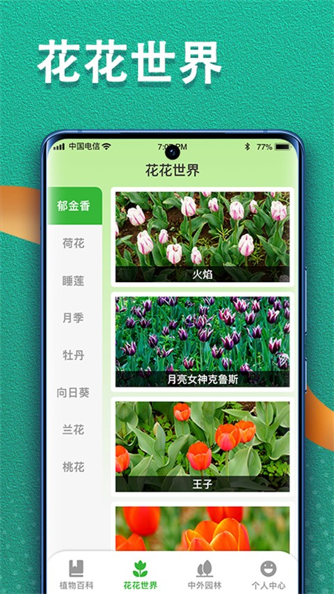 植物视界原版图2