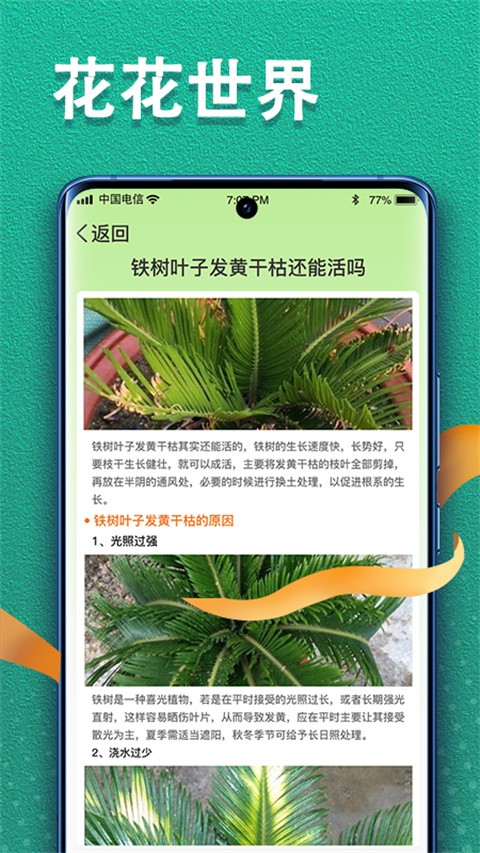 植物视界原版图4
