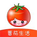 番茄生活直装版