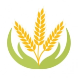 百味安官方正版