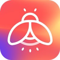 萤火虫壁纸直装版
