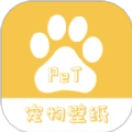 桌面宠物壁纸安卓官方版