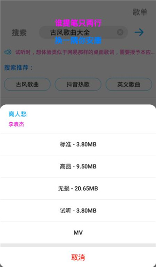 歌词适配器通用版图4