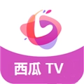 西瓜TV免费原版