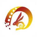 小芥兰TV版