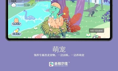 圣视尔佳弱视训练HD直装版图3
