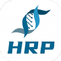 HRP综合门户平台安卓免费版