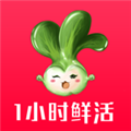 淘菜猫正版