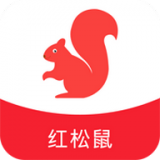红松鼠安卓官方版