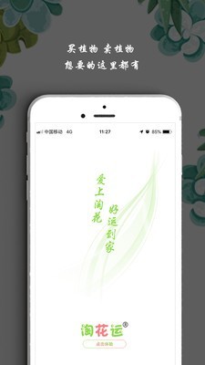 淘花运手机版图1