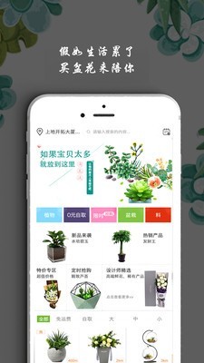 淘花运手机版图2