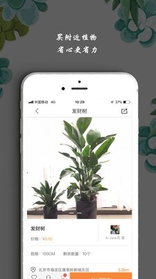 淘花运手机版图3