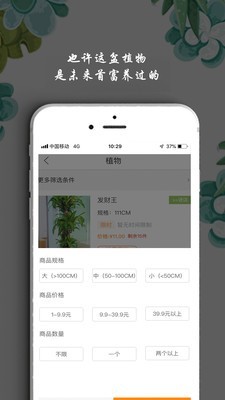 淘花运手机版图4
