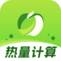 热量计数器安卓免费版
