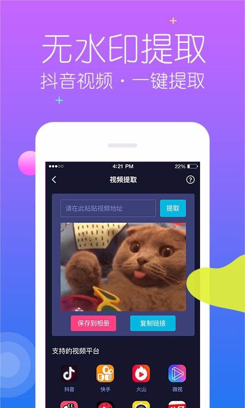 视频去水印专家直装版图3
