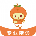 桔小跑陪诊安卓版