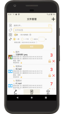 时间锁定器通用版图1