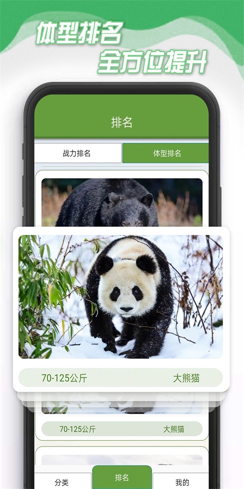 酷盟小熊削安卓官方版图3