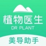 美导助手正版