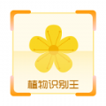 植物识别王最新免费版