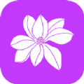 小兰君养花大师直装版