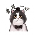 肥猫影视官方正版