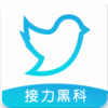 飞鸟器免费原版