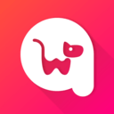 千尾安卓直装版