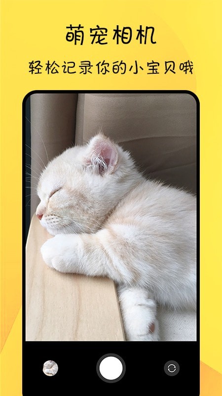 猫友舍手机免费版图4