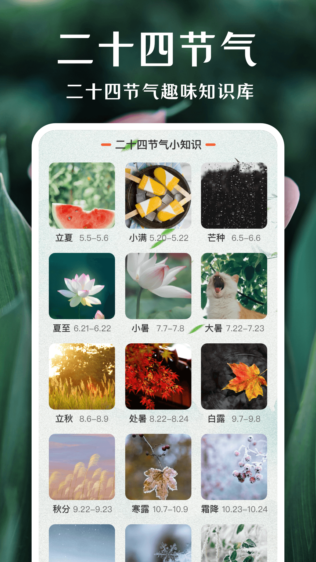 一键拍照识花无广告版图2