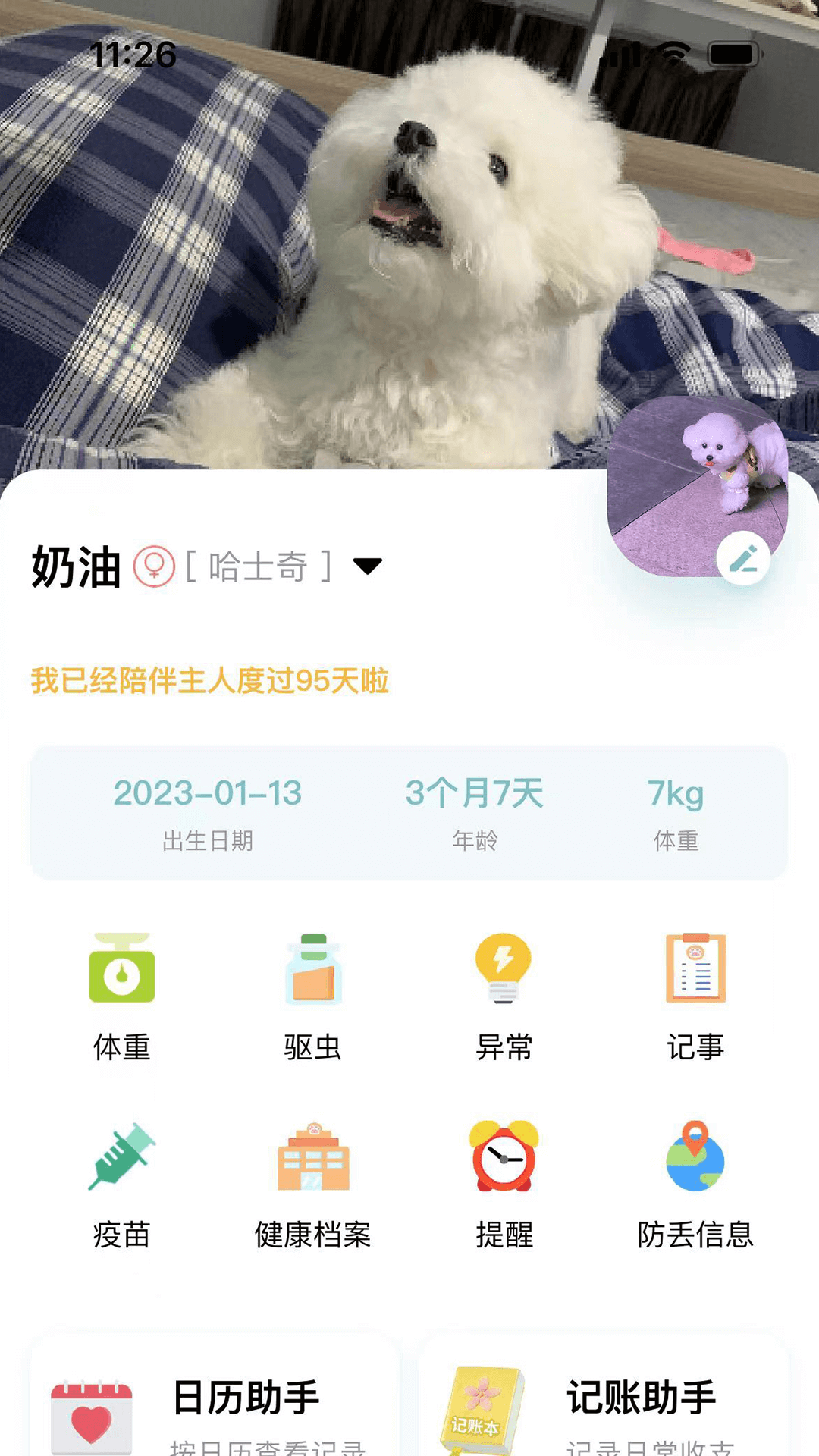 述宠无广告版图1