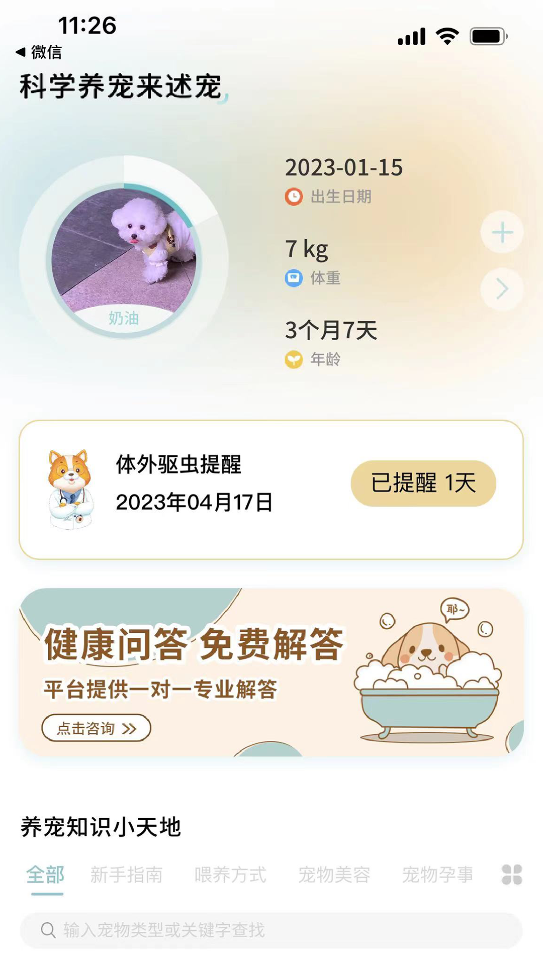 述宠无广告版图3