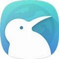 kiwi浏览器通用版