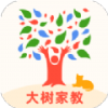 大树家教正版