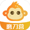 磨刀营免费版