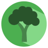 Broccoli最新免费版