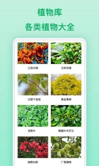 行色识物手机免费版图2