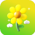 雏菊相机原版