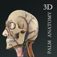 掌上3D解剖免费原版