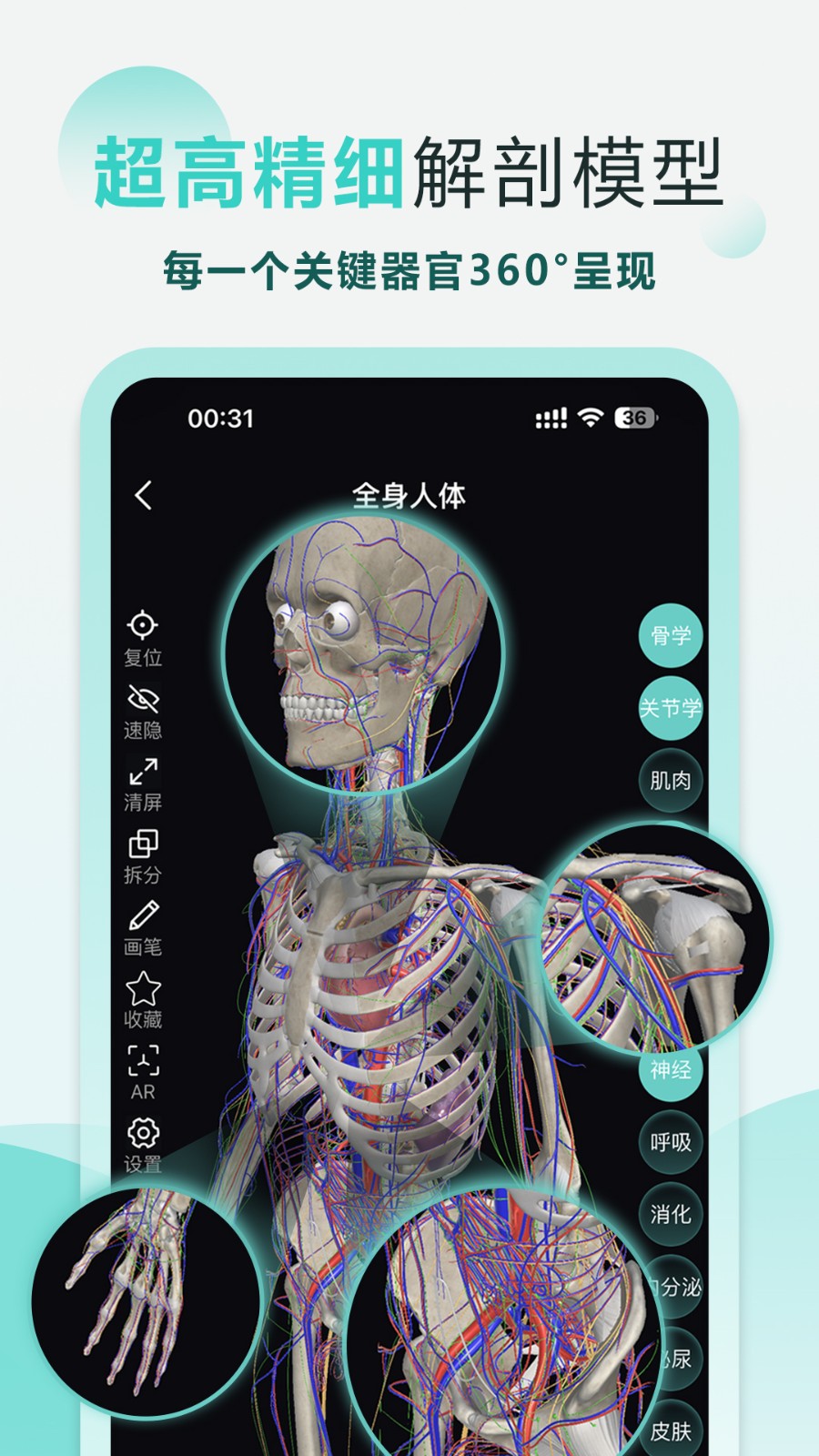 掌上3D解剖免费原版图2