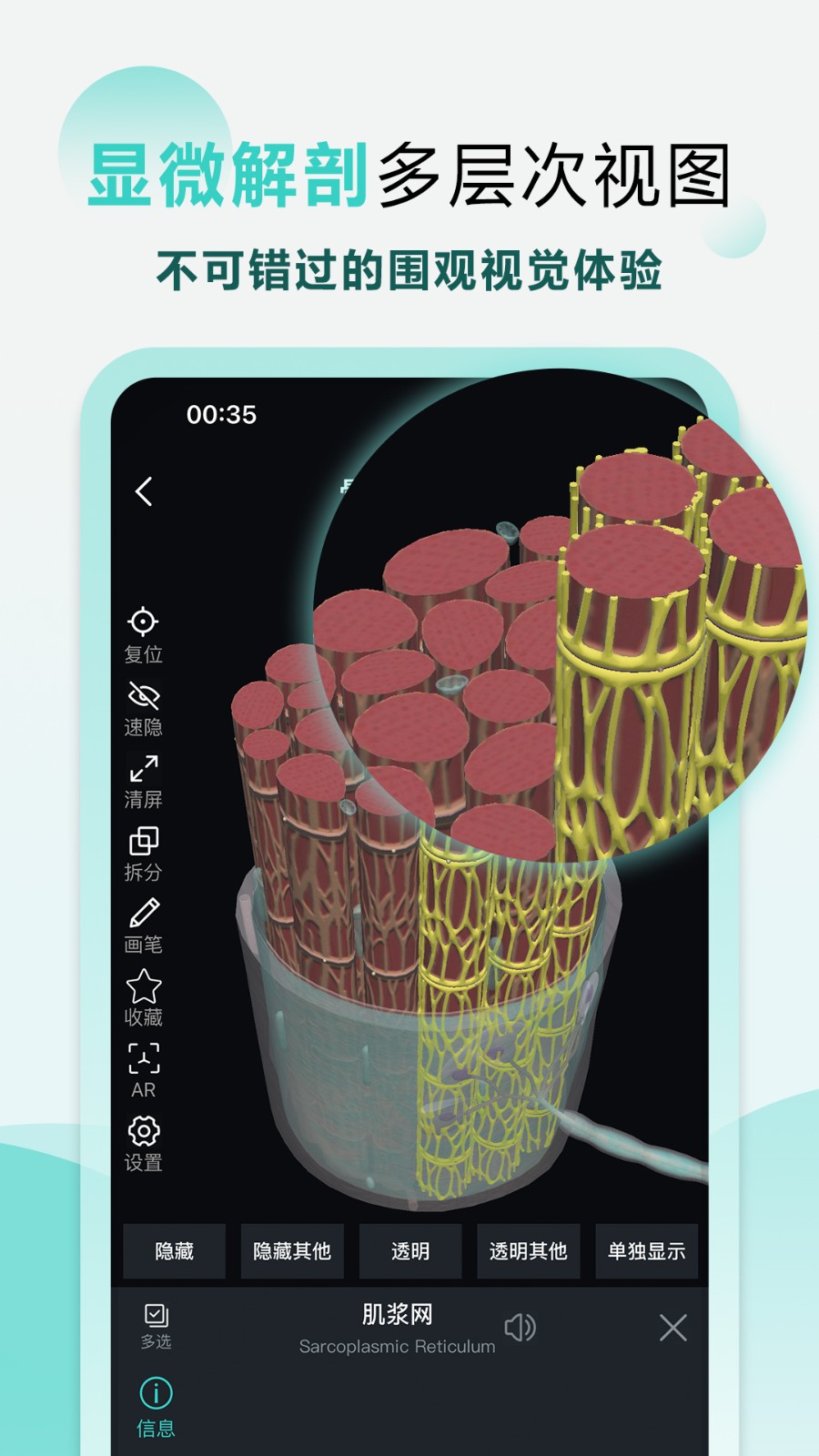 掌上3D解剖免费原版图5